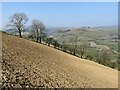 Ploughed field with steep gradient in Llansilin Community
