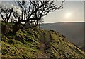 Path above Batch Valley on the Long Mynd in SY6 6JZ