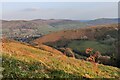 The Batch Valley on the Long Mynd in SY6 6HF