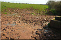 Muddy field entrance, Waddeton Road in TQ4 7FU