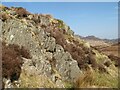 Slatey rock outcrop in Capel Curig Community