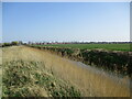 The North Forty Foot Drain, Wyberton Fen in PE21 7FD