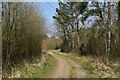 Footpath into Lee Ground Coppice in PO15 7LL