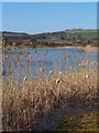 Small loch on site of disused Fife quarry in KY15 5RG