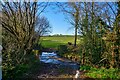 Bathealton : Hillfarrance Brook in TA4 2AG