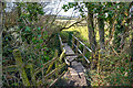 Pitminster : Footbridge in TA3 7AR