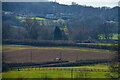 Blagdon Hill : Countryside Scenery in TA3 7SF