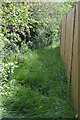 Follow the fenced footpath in TN26 3HT