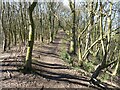 Footpath on Abberley Hill in WR6 6HB