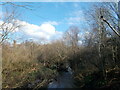 River Crane from Cranford Bridge in TW5 9AY