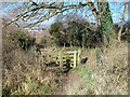 Gate on Stopsley Common in LU2 7FQ