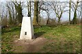 Trig point on Aconbury Hill in HR2 8AX