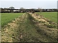 Path between fields near Tudhoe Colliery in DL16 6TA