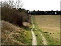The footpath to Pewley Down in GU1 2HD