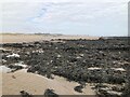 Low tide at Hauxley Links in NE65 0JR