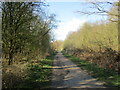 Track to Bestwood Village, Bestwood Country Park in NG5 9QQ