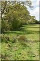 Field boundary footpath in TN26 3JA