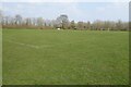 Sports field, Ashton Keynes in SN6 6FB