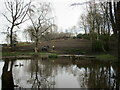 Pond near Woodside Lodge in NG5 9QQ