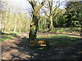 Junction of paths, The Warren, Bestwood Country Park in NG5 9QQ