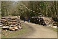Log piles, Great Wood in TN33 0TJ