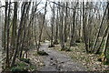 Footpath, Great Wood in TN33 0TJ