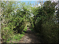 Bridleway near Bledlow in HP27 9QT