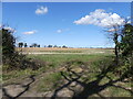 Arable view from track entrance in NR10 5AU