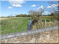 Skeyton Beck looking Northeast from bridge in NR10 5AU