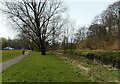 Footpath beside the Luggie Water in Kirkintilloch
