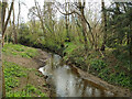 Burstow Stream looking upstream in RH6 9LR