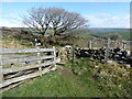 The Pennine Way crossing Cowling Hill Lane in BD22 0LR