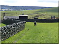 The Pennine Way near Ickornshaw in BD22 0DD