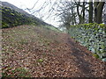 The Pennine Way near Crag Bottom in BD22 0FF