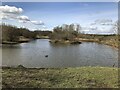 Pond west of Woolsington in NE5 1NA
