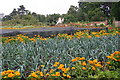 Walled gardens of Claydon House in MK18 2ET