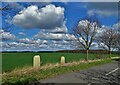 Redundant dolomite gateposts by Cadeby Road in Cadeby