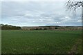 Fields beside a bridleway in YO42 1YN