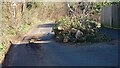 Burpham - Storm Damage in GU4 7LH