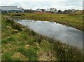 Pond beside the West of Scotland Science Park in G23 5NL