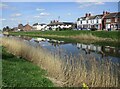 Maud Foster Drain and houses on Willoughby Road in PE21 9QQ