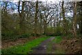 Northaw Great Wood (Country Park) in EN6 4BD