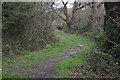 Path into woodland, on Ashtead Common in KT22 0DJ