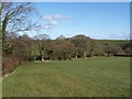 Field near Minnimeer in PL15 8UD