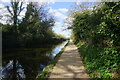 Grand Union Canal towards bridge #196 in UB3 1DQ