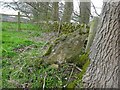 Stone Stile, Painswick in GL6 6RU