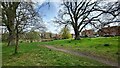 Village green view towards Causeway Pond in RG27 8ED