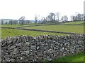 Grass fields and drystone walls in DE45 1QW
