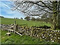 Stile in a drystone wall in DE45 1QW