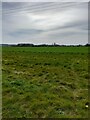 View across fields in NG32 3EL